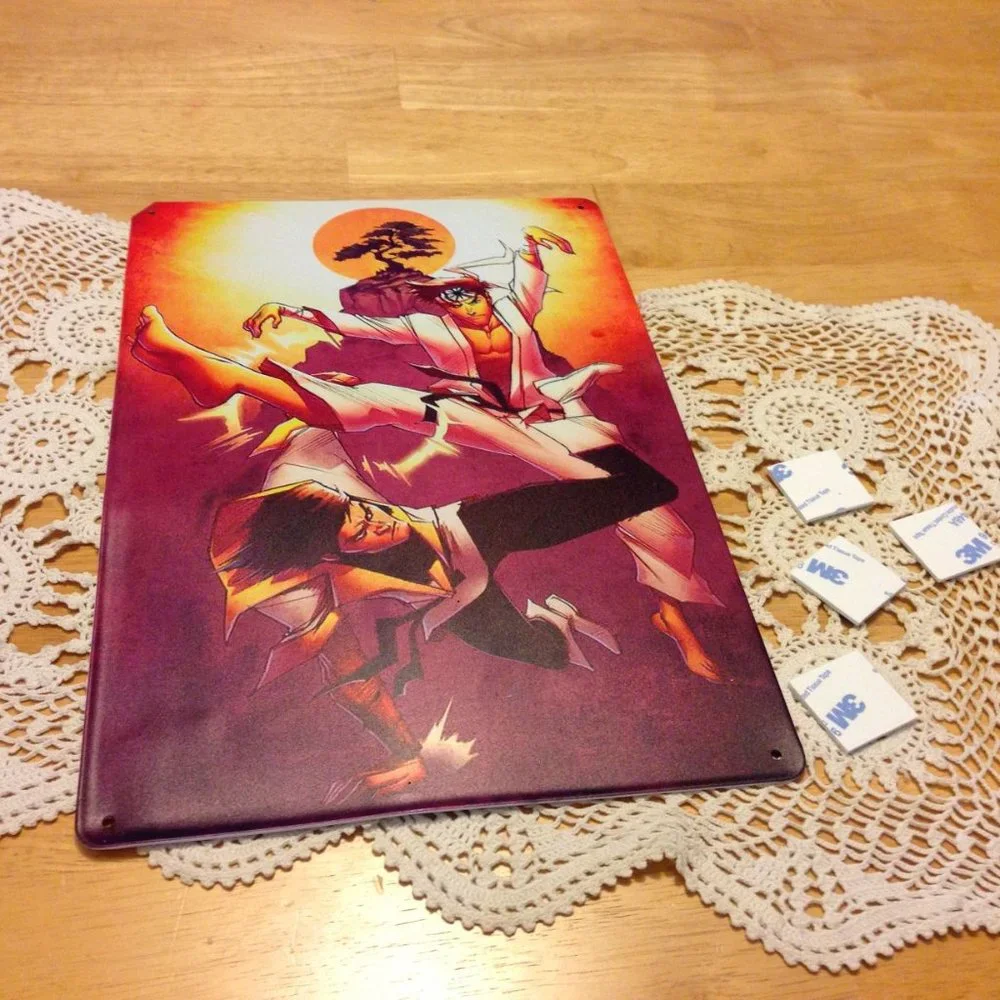 Anime Kung Fu thin metal wall art, new